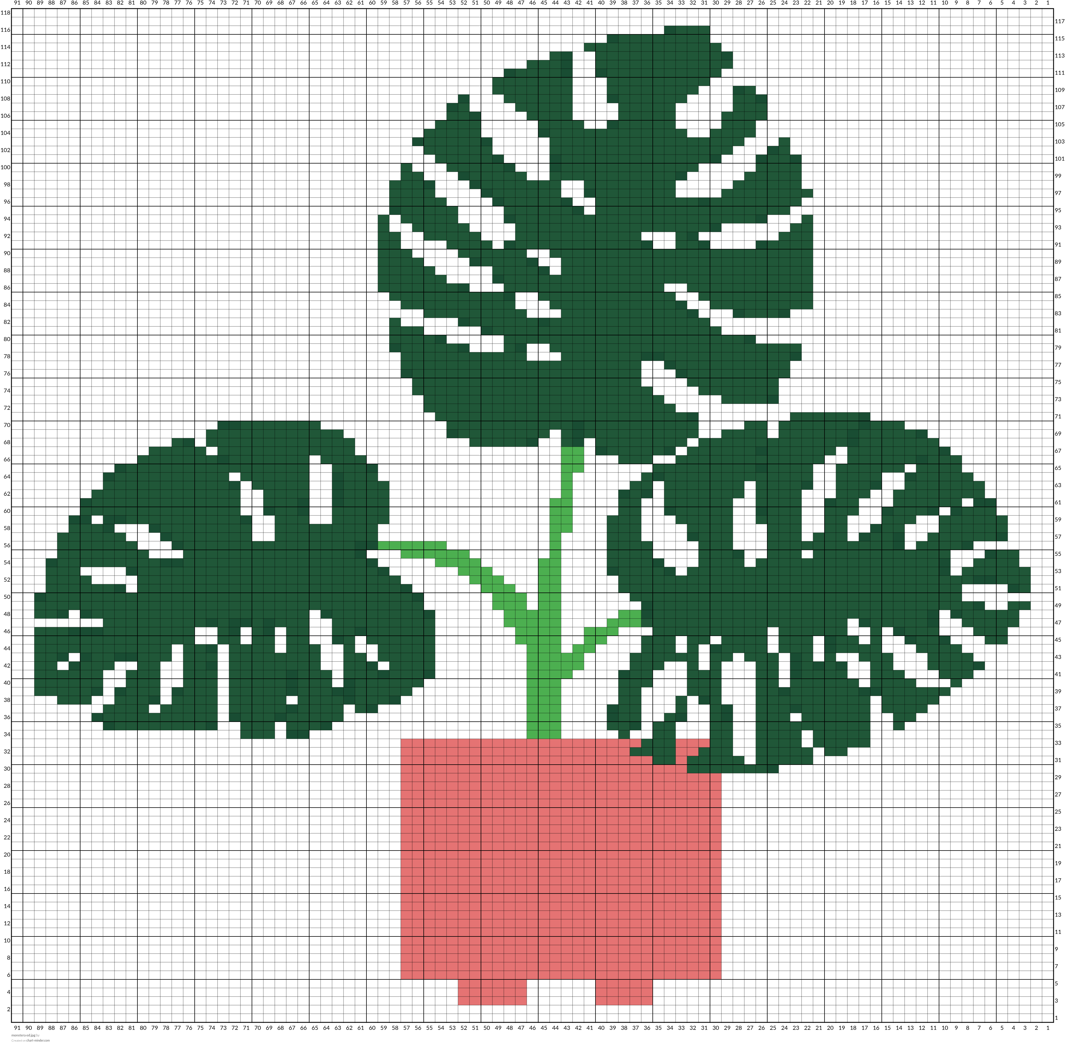 monstera ed.jpg