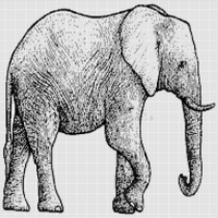 illustration-d-éléphant-dessin-gravure-encre-schéma-vecteur-87643014.jpg