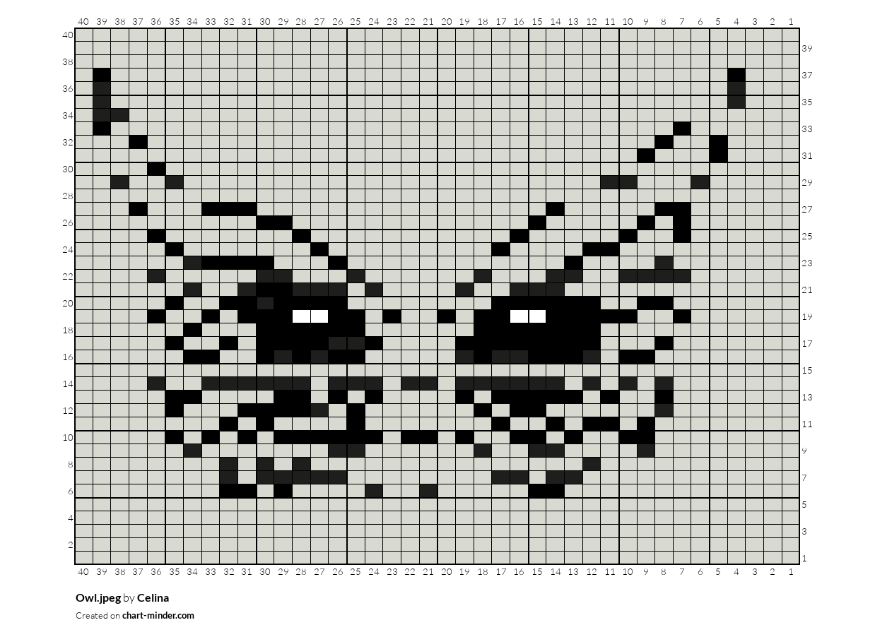 Owl.jpeg