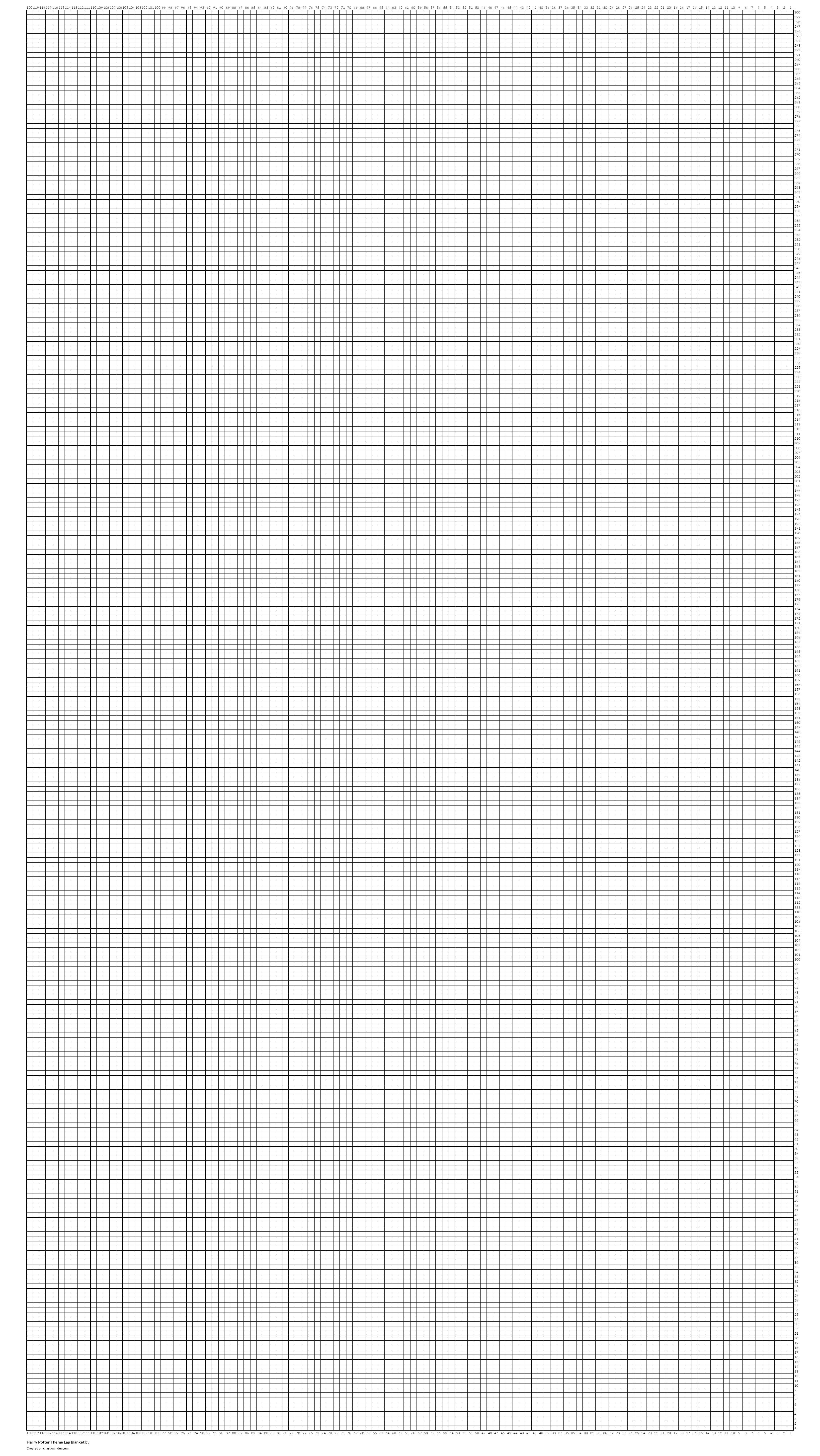 Harry Potter Theme Lap Blanket