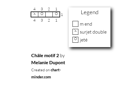 Châle  motif 2