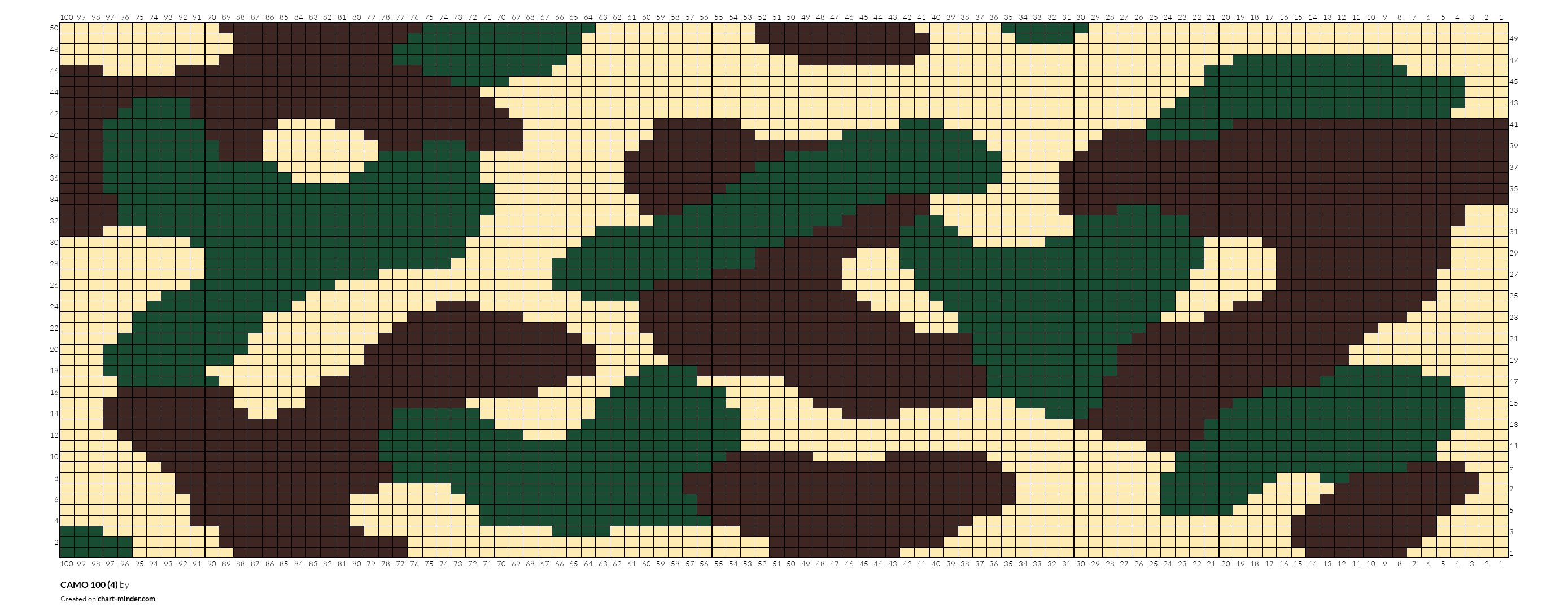 CAMO 100 (4)