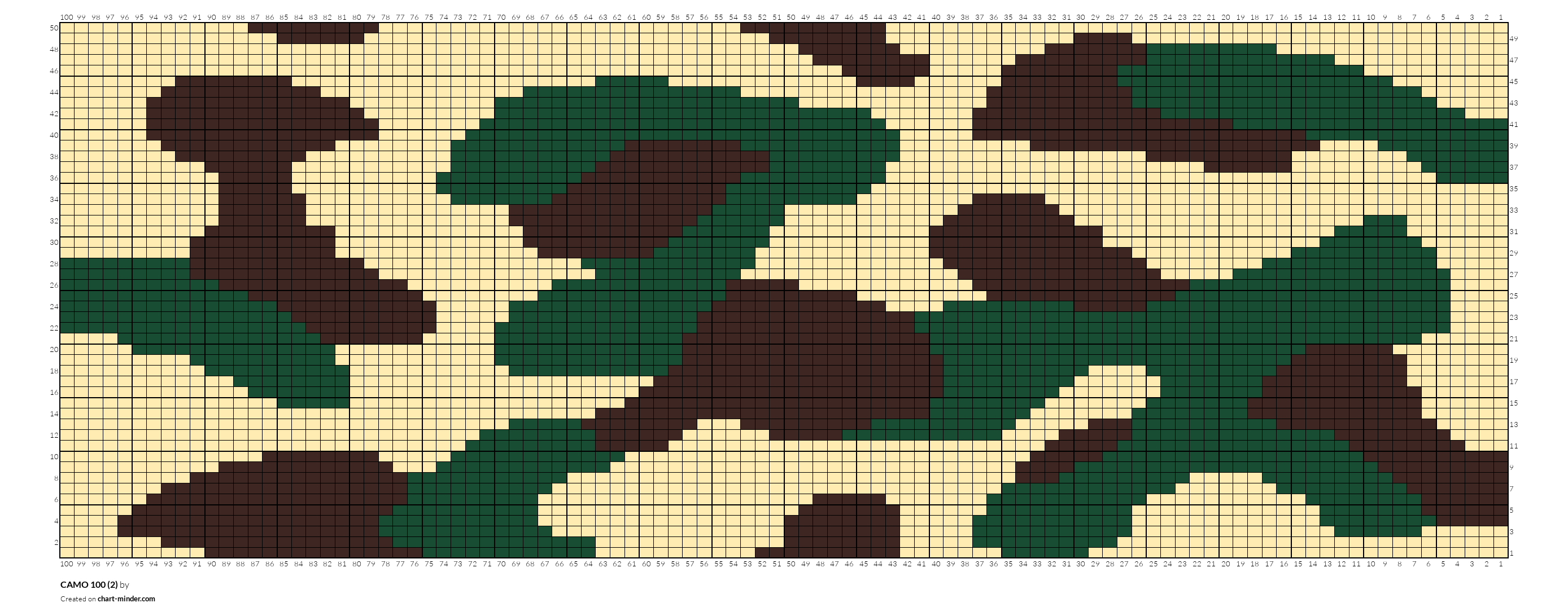 CAMO 100 (2)