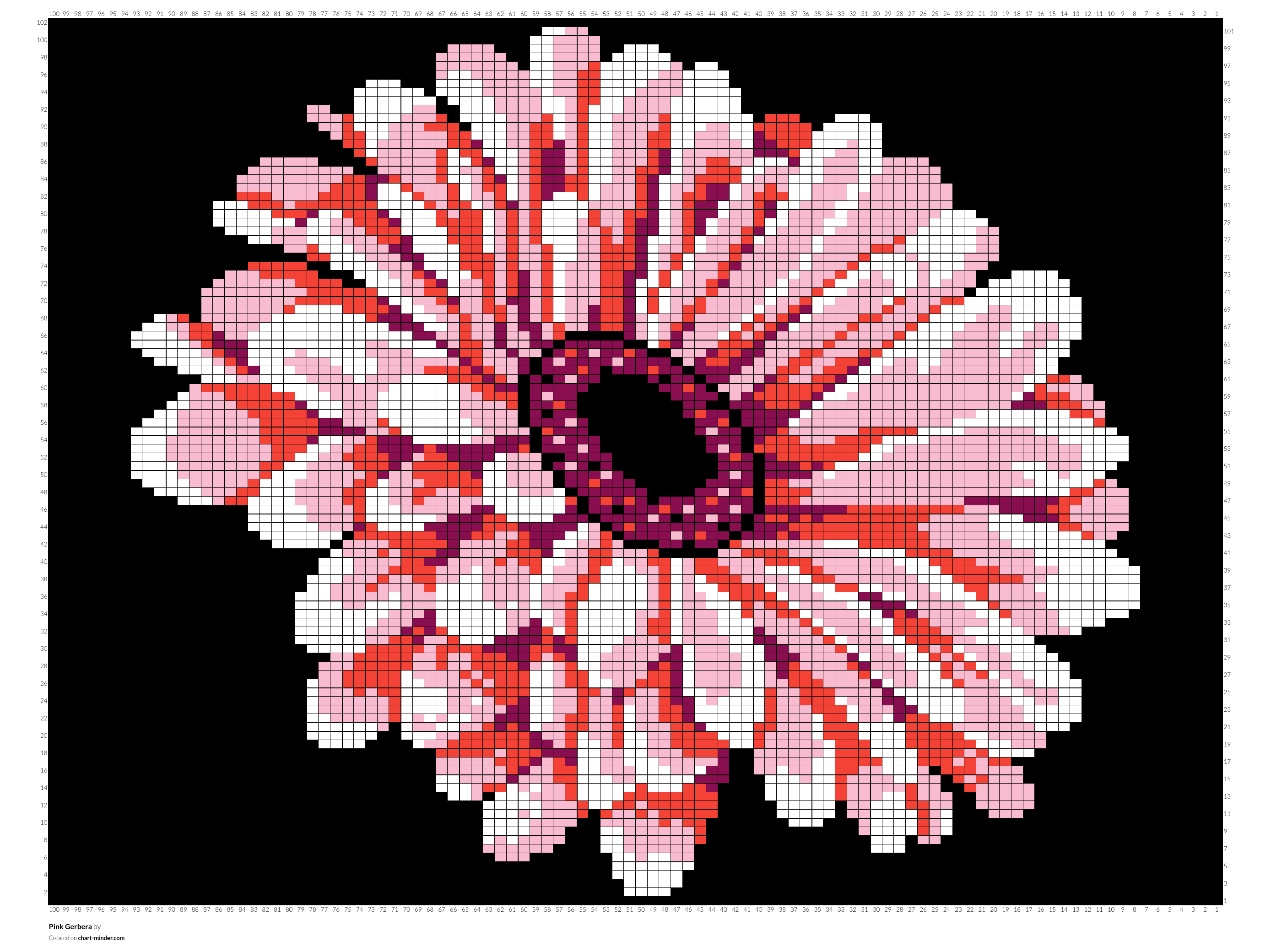 Pink Gerbera