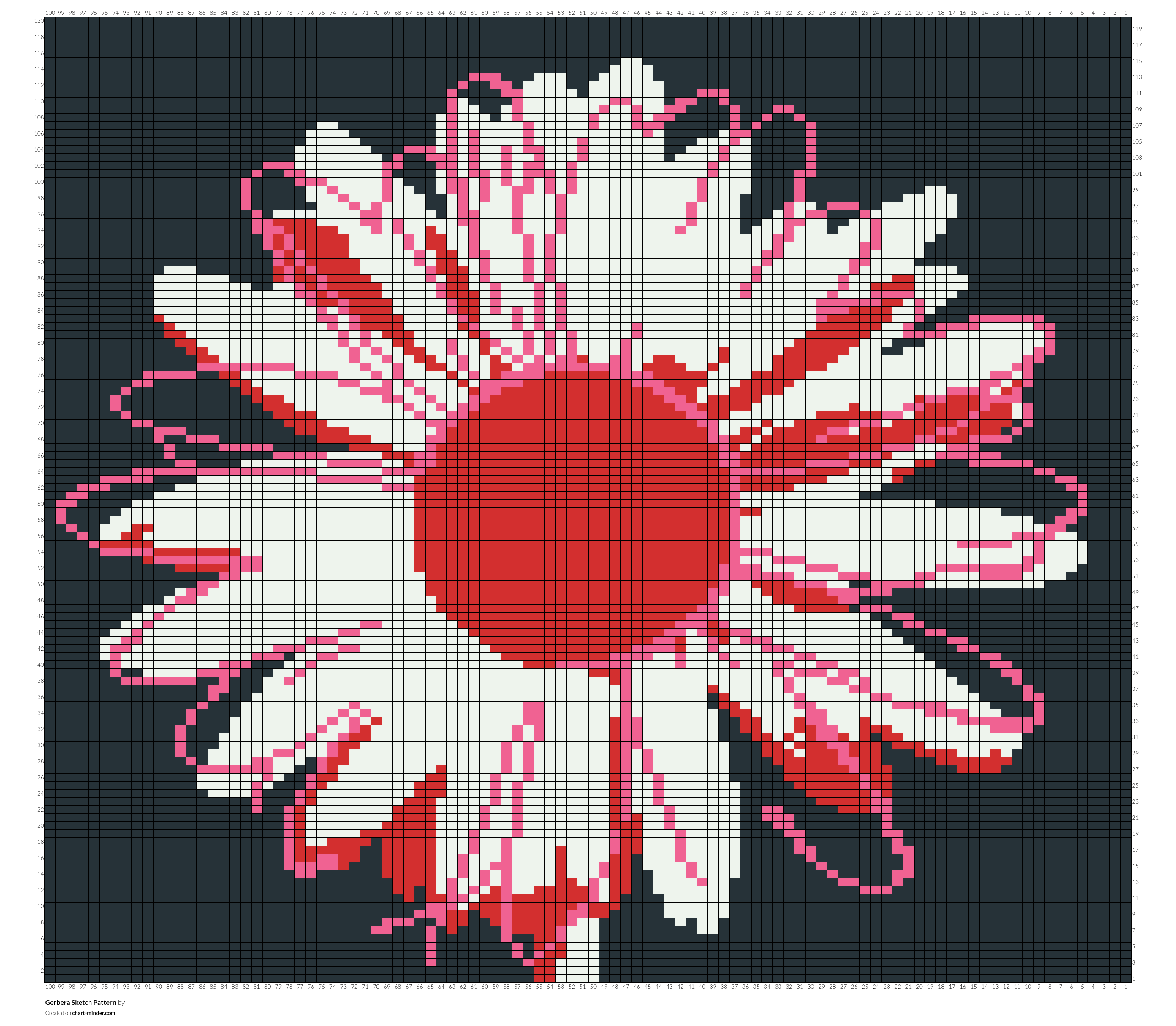 Gerbera Sketch Pattern