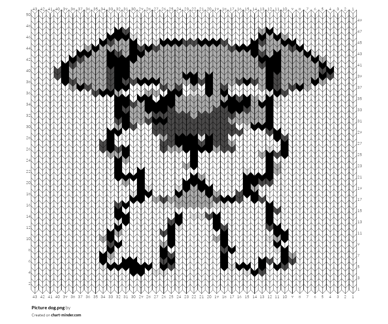Picture dog.png