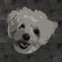 Meisha