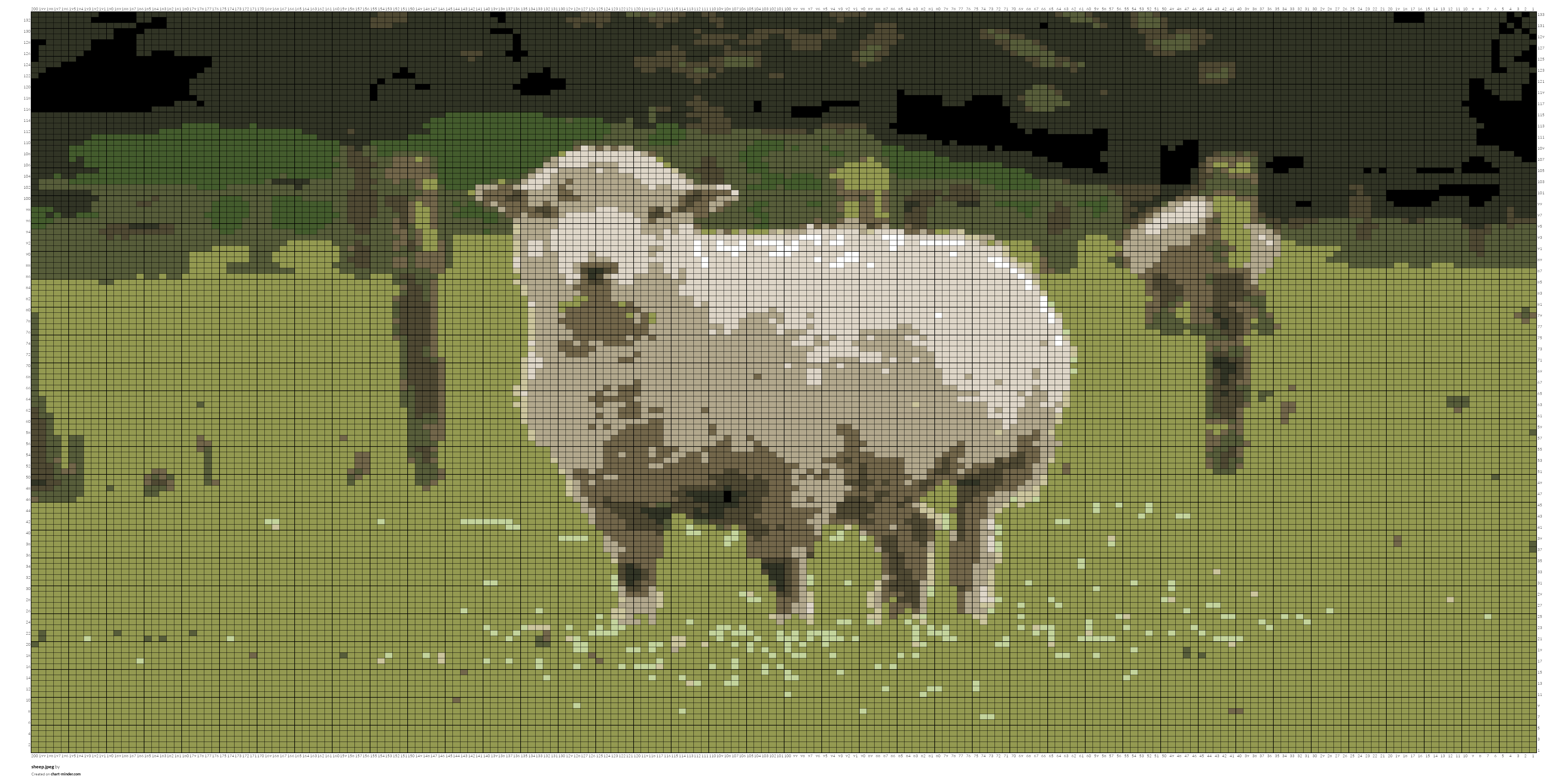 sheep.jpeg