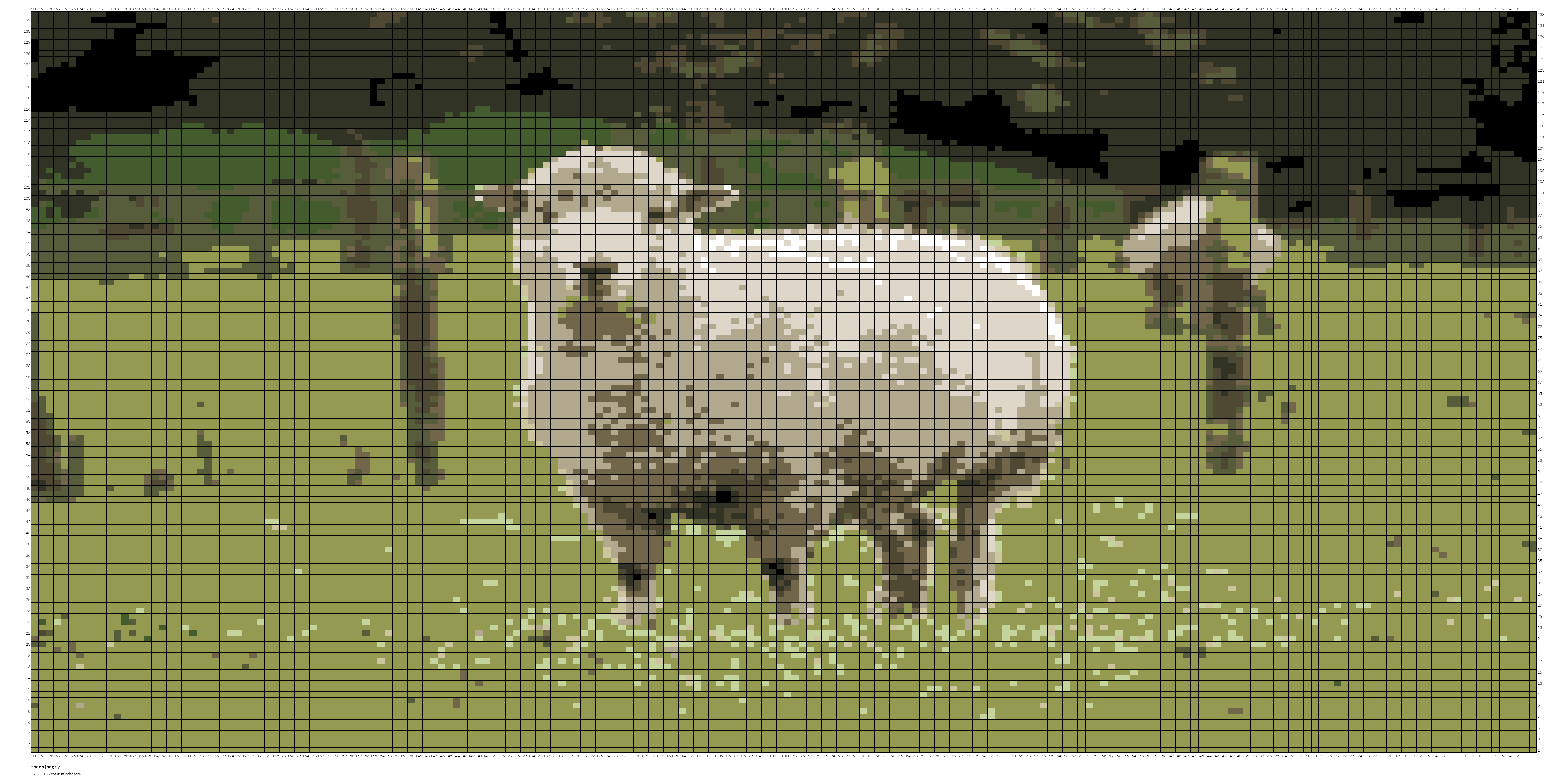 sheep.jpeg