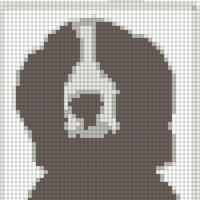 D06ECA3D-080E-4241-B988-8F8794E00897.jpeg