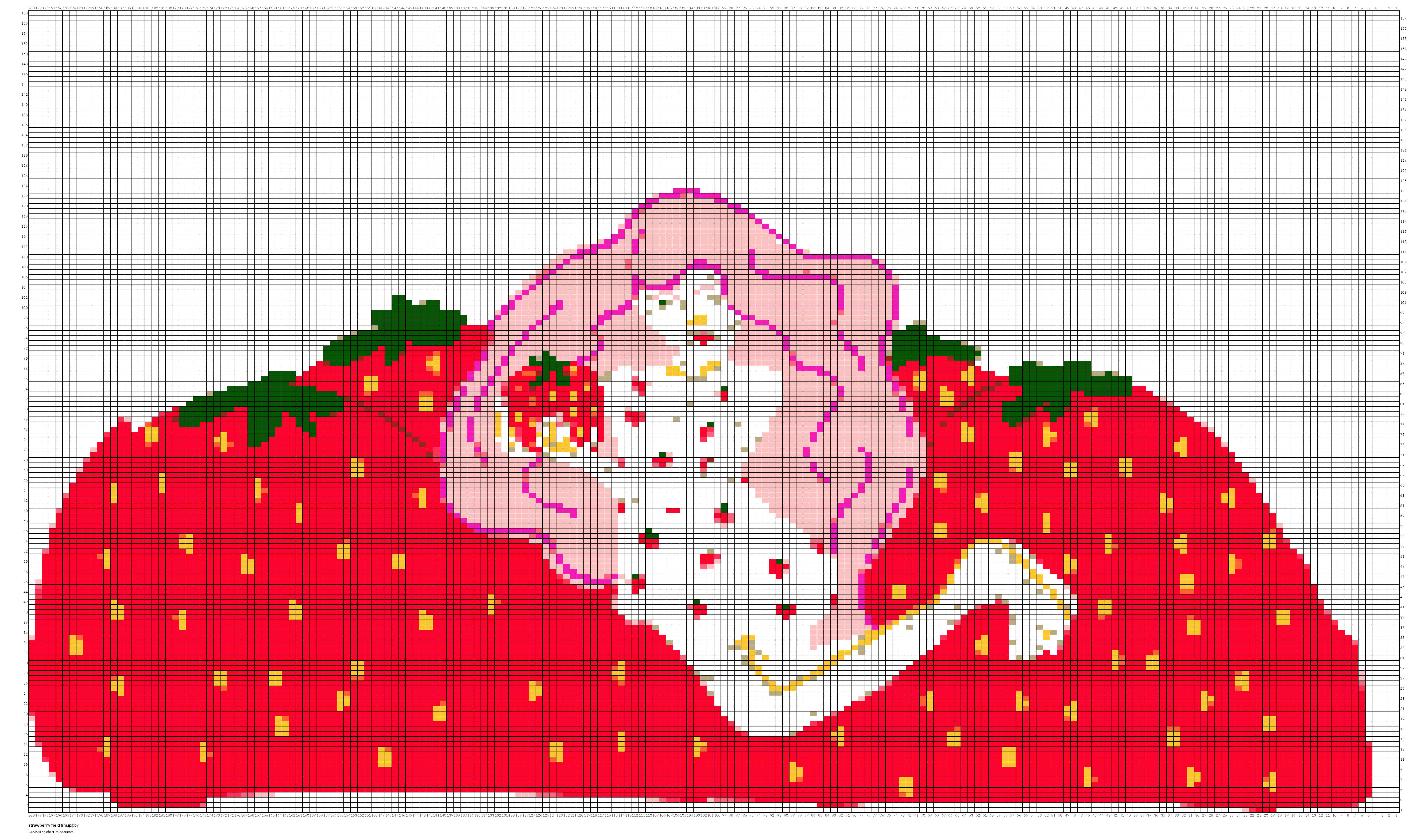 strawberry field fini.jpg