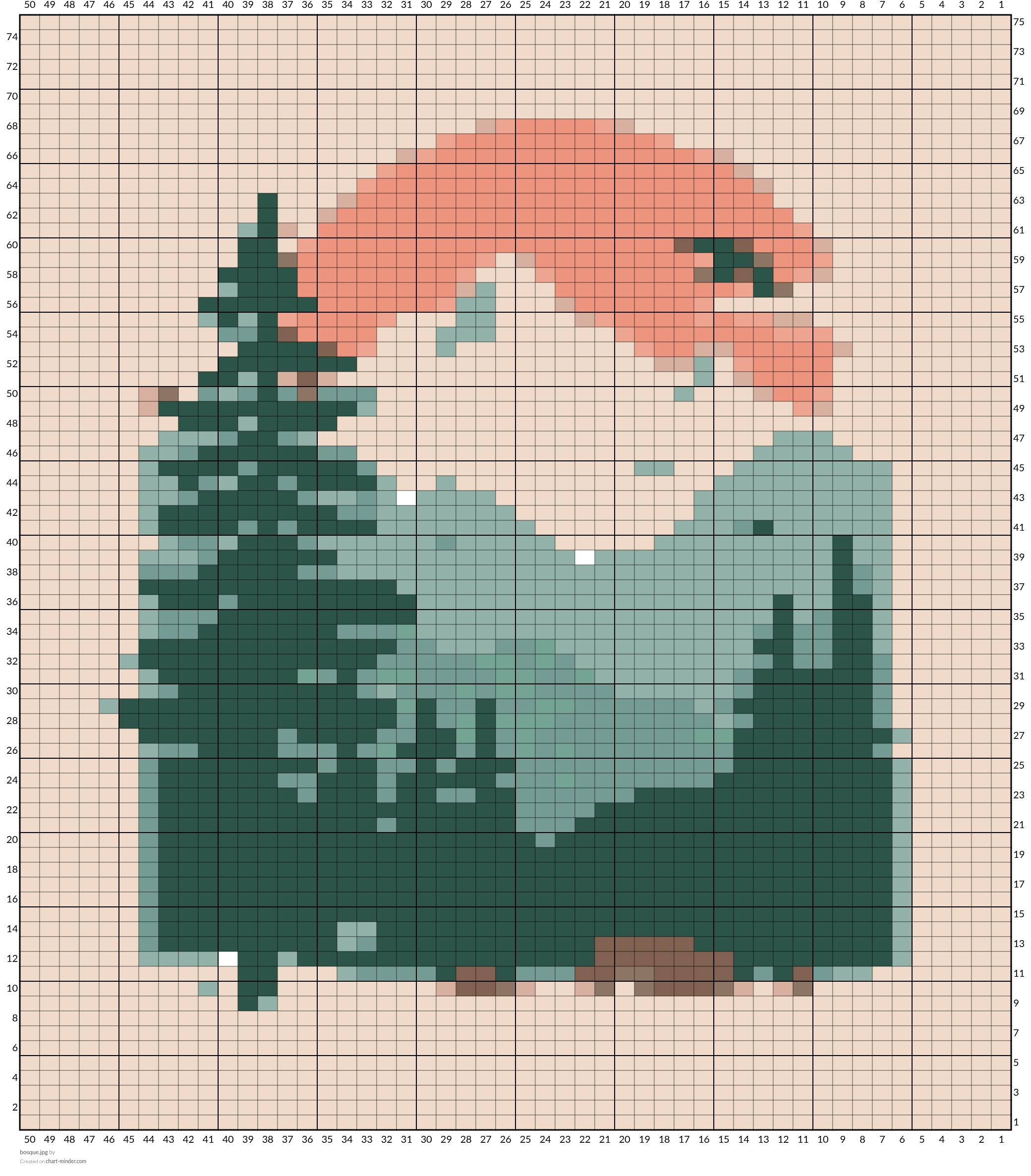 bosque.jpg