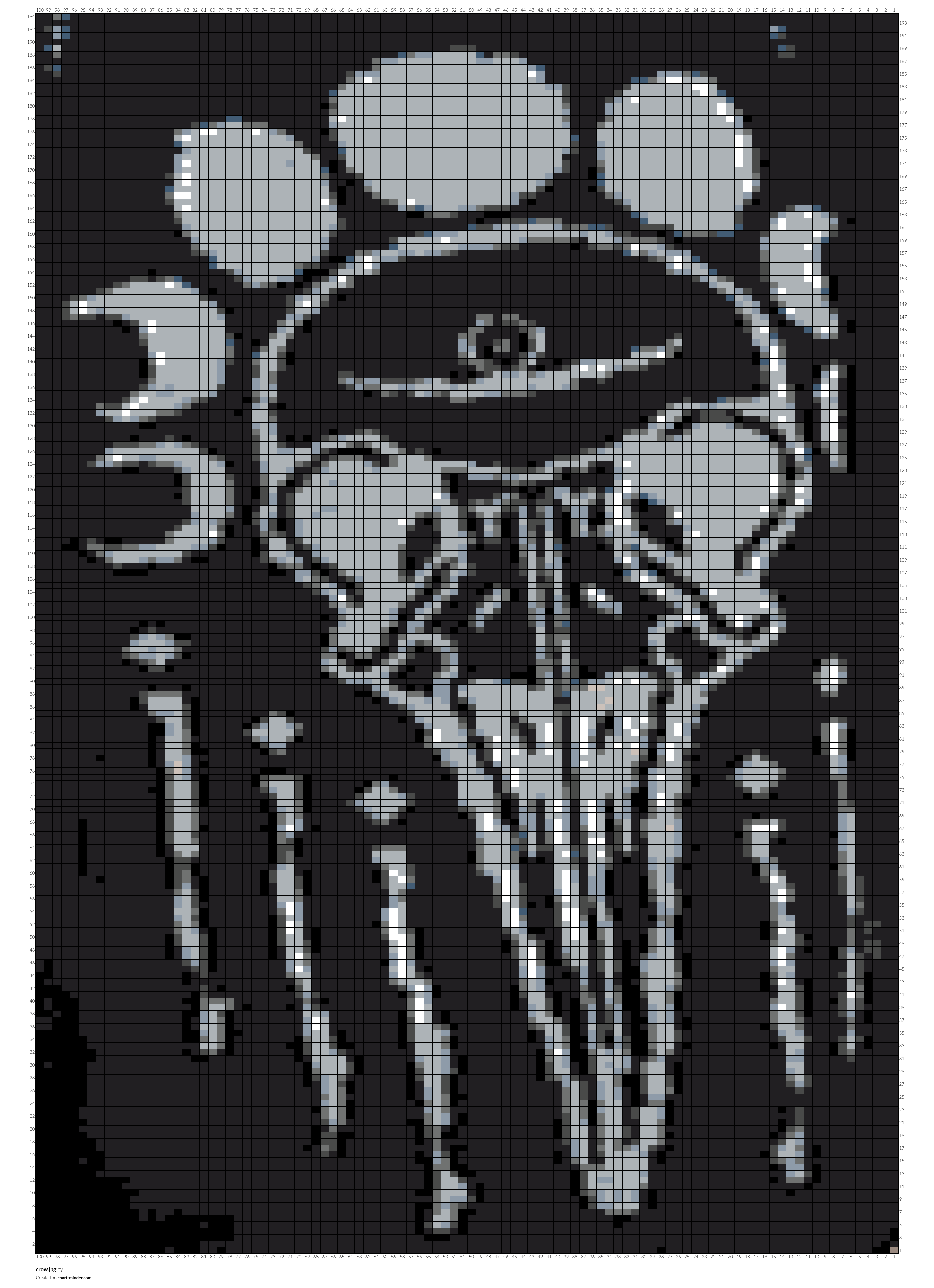 crow.jpg
