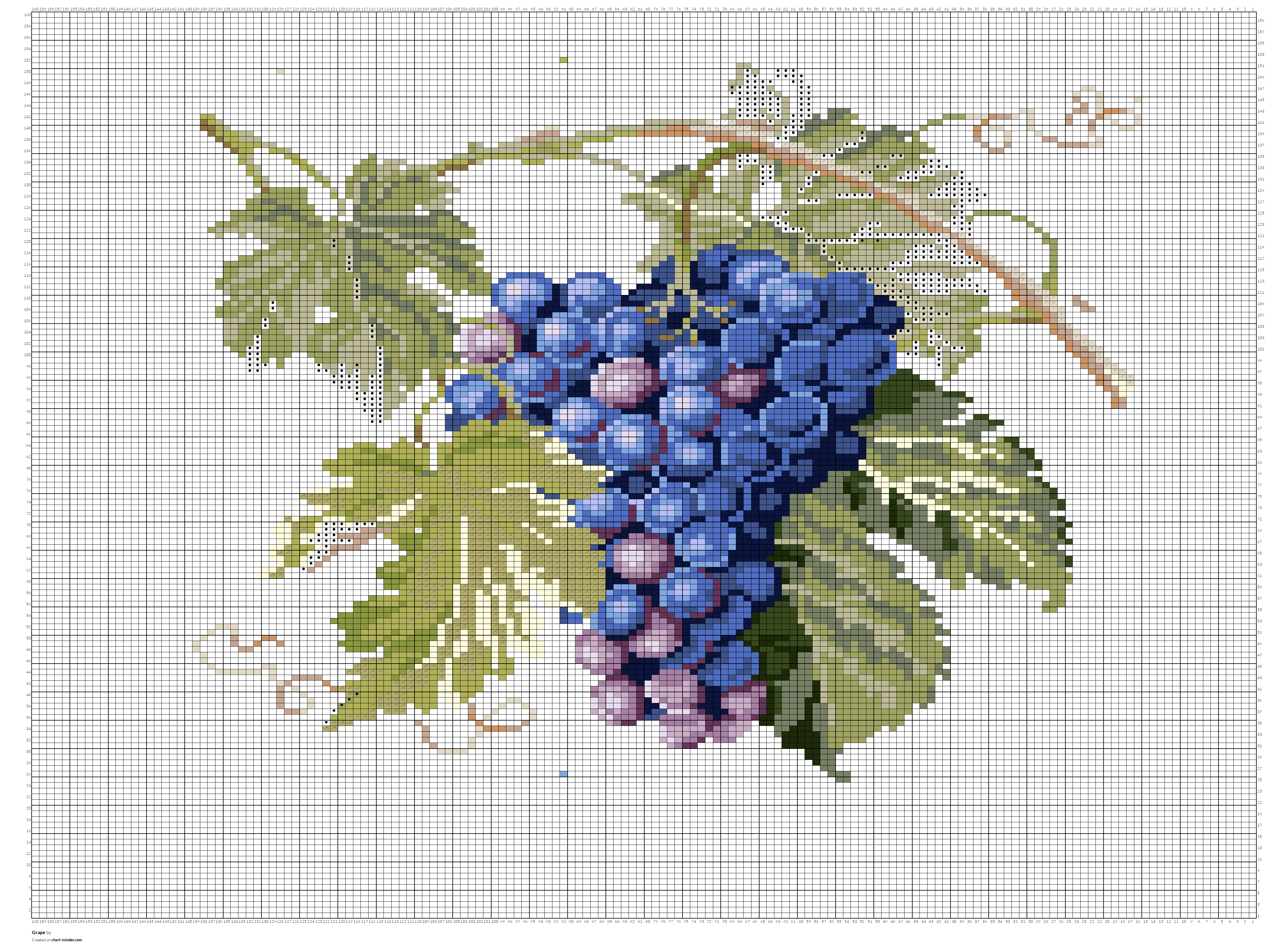 Grape