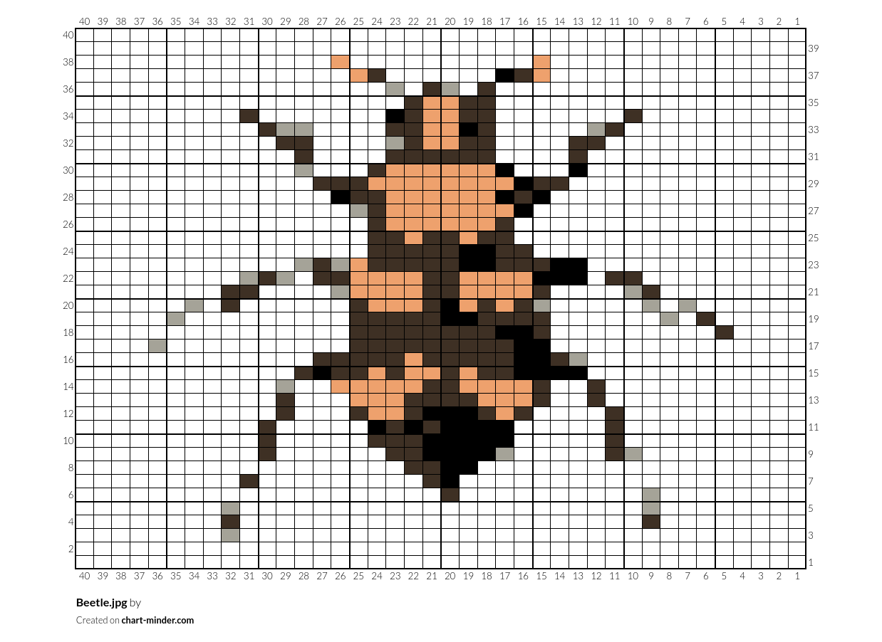 Beetle.jpg