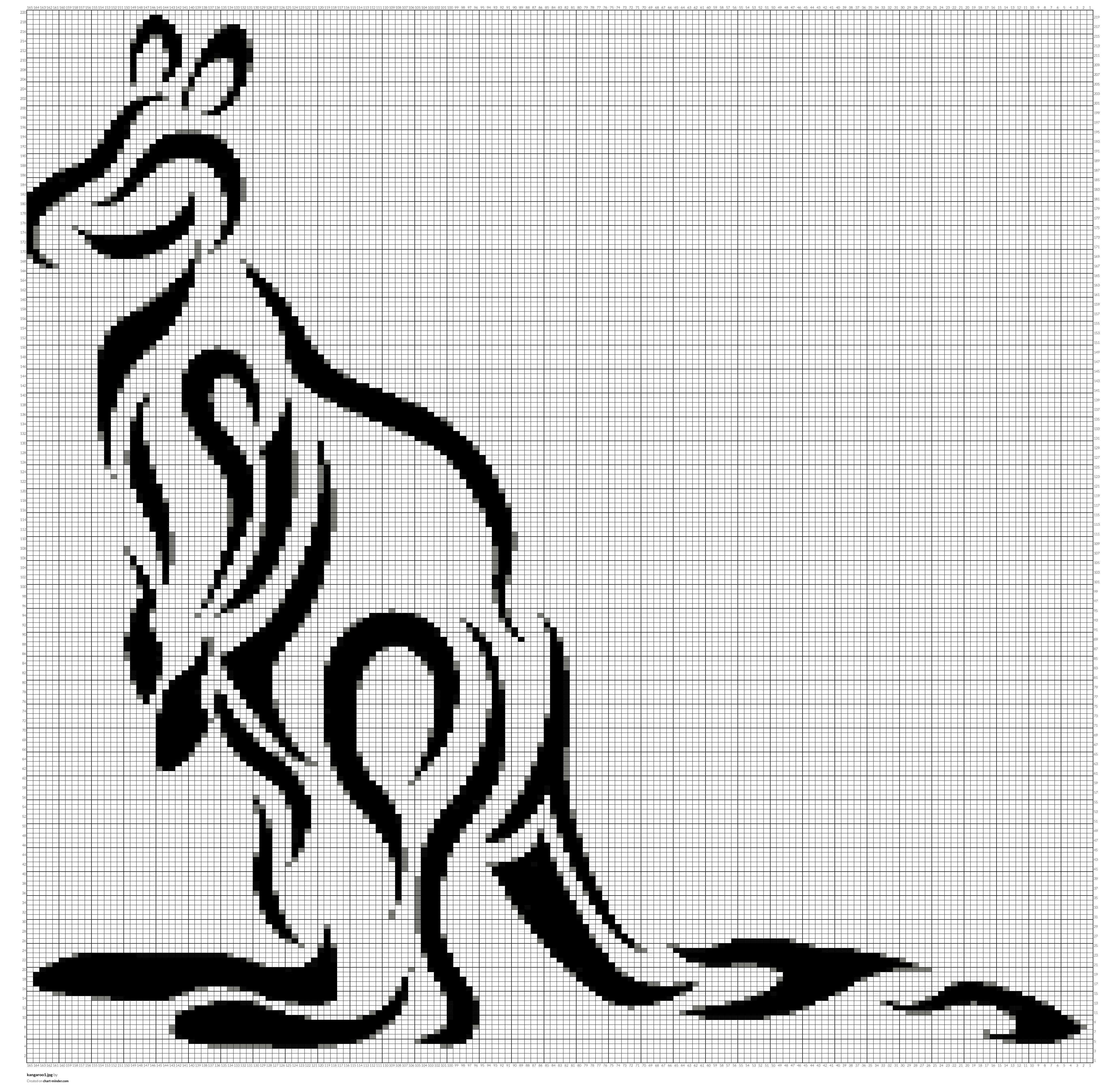 kangaroo1.jpg