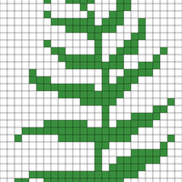 fern 2