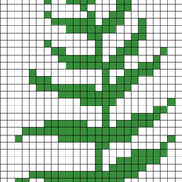 fern 2
