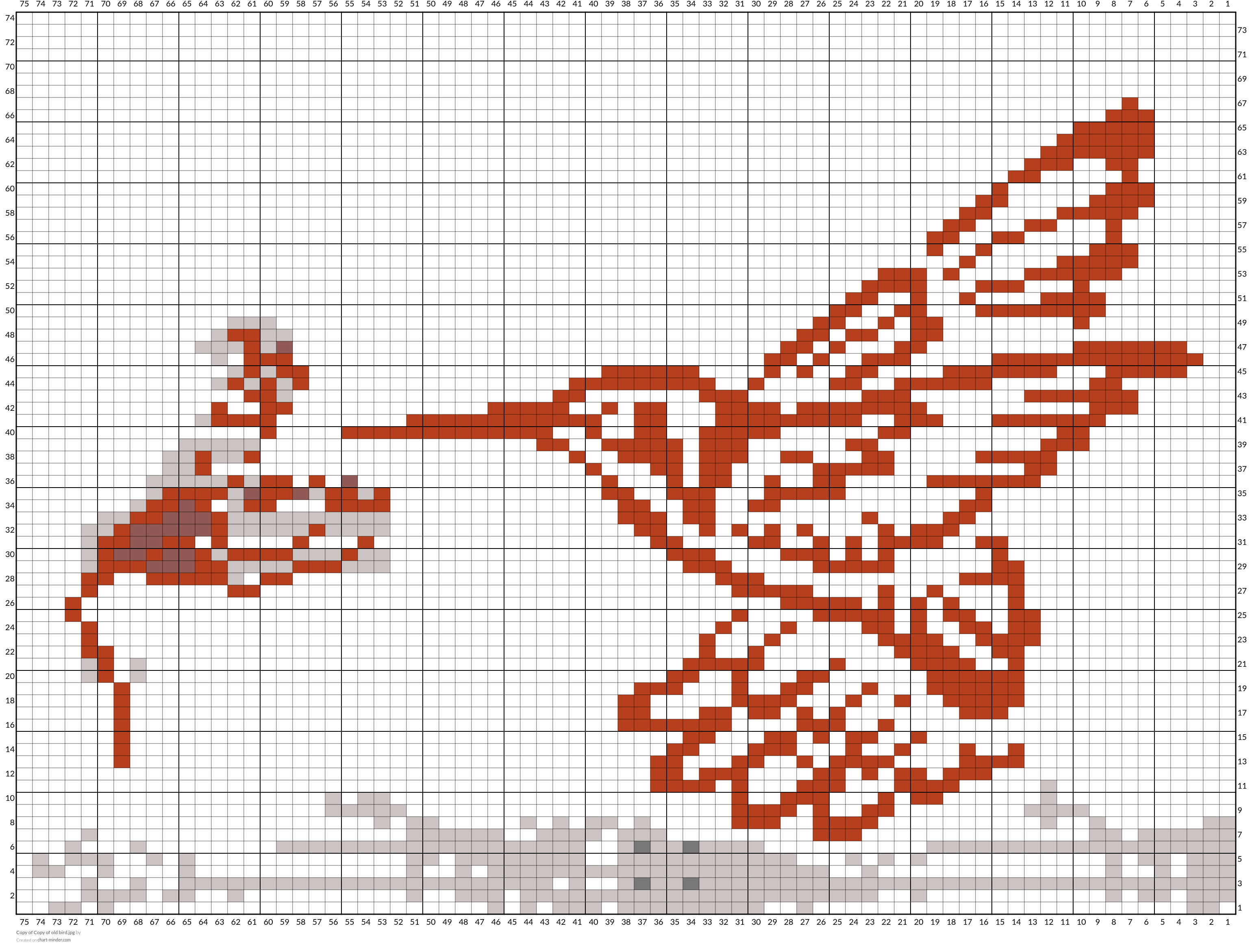 Copy of Copy of old bird.jpg