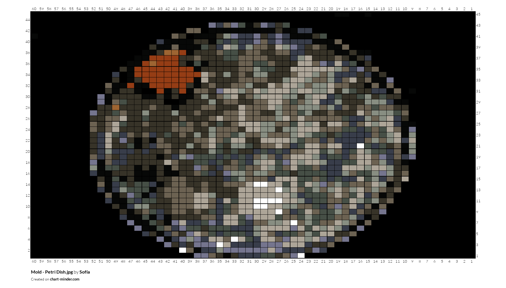 Mold - Petri Dish.jpg
