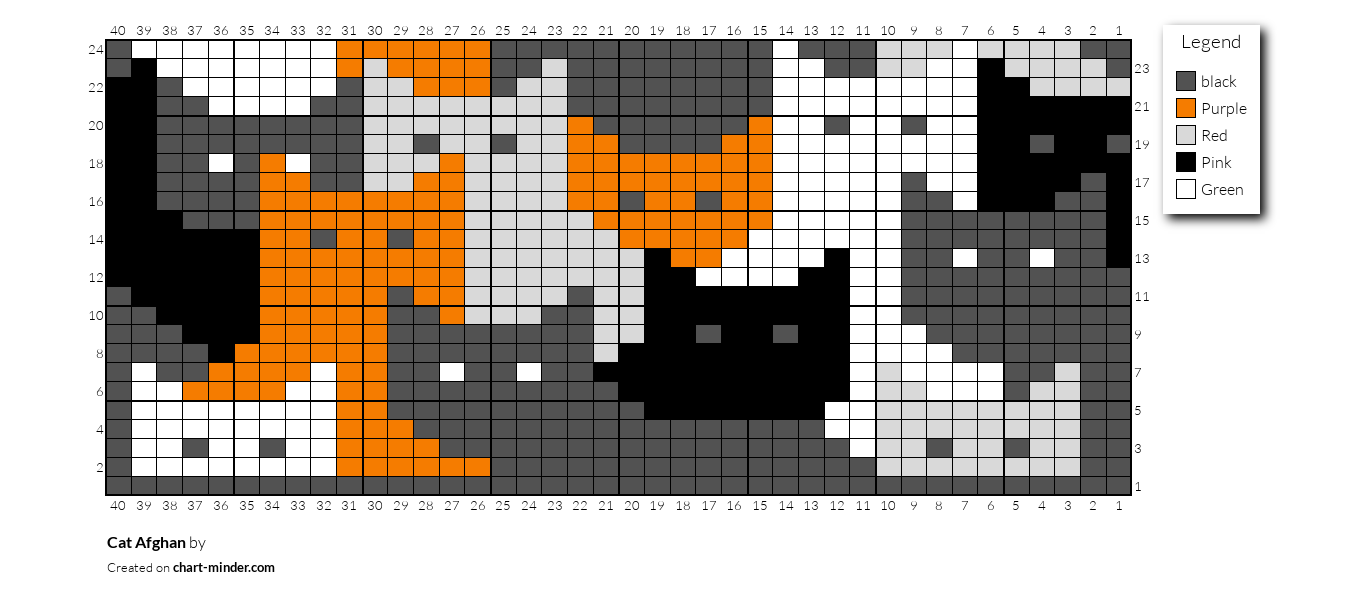 Cat Afghan