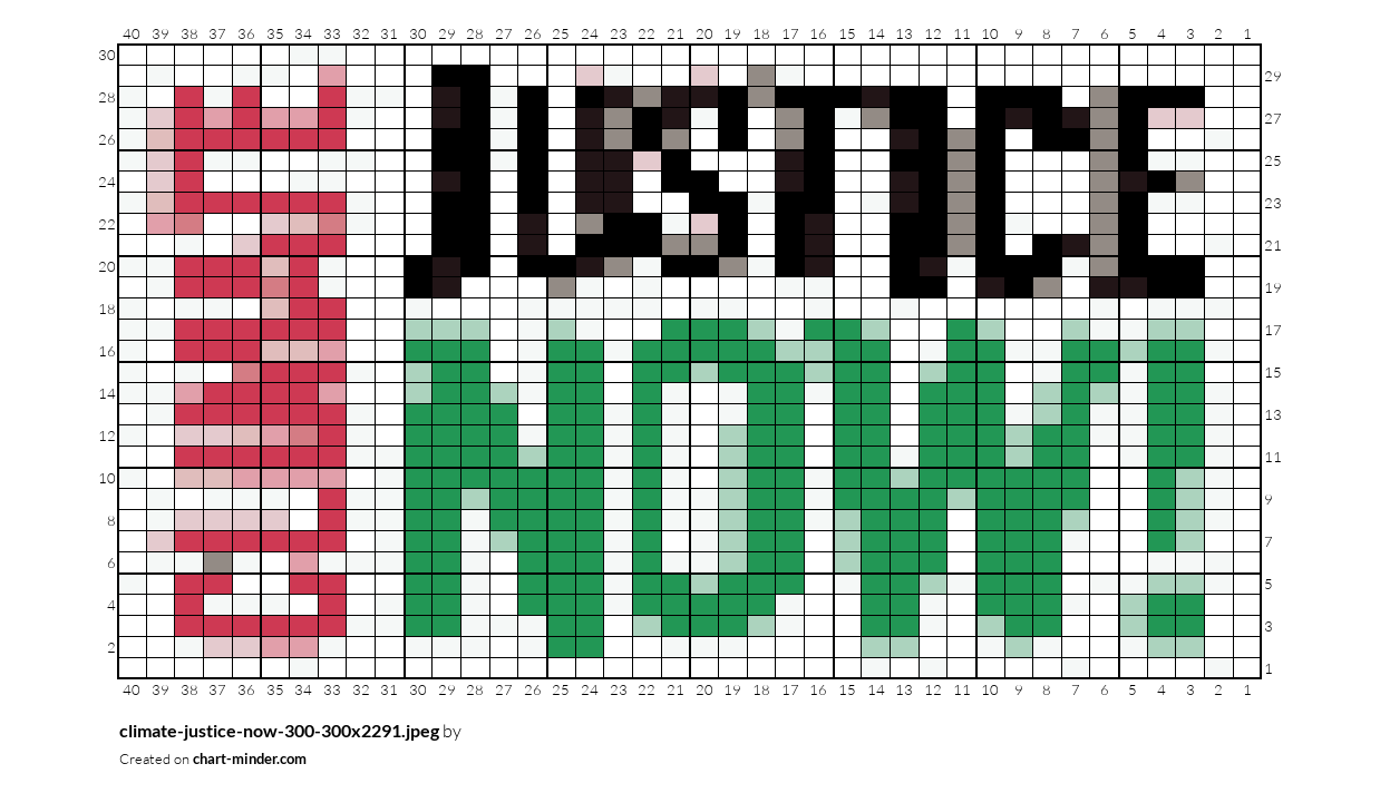 climate-justice-now-300-300x2291.jpeg