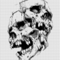 conjoined skull.jpg