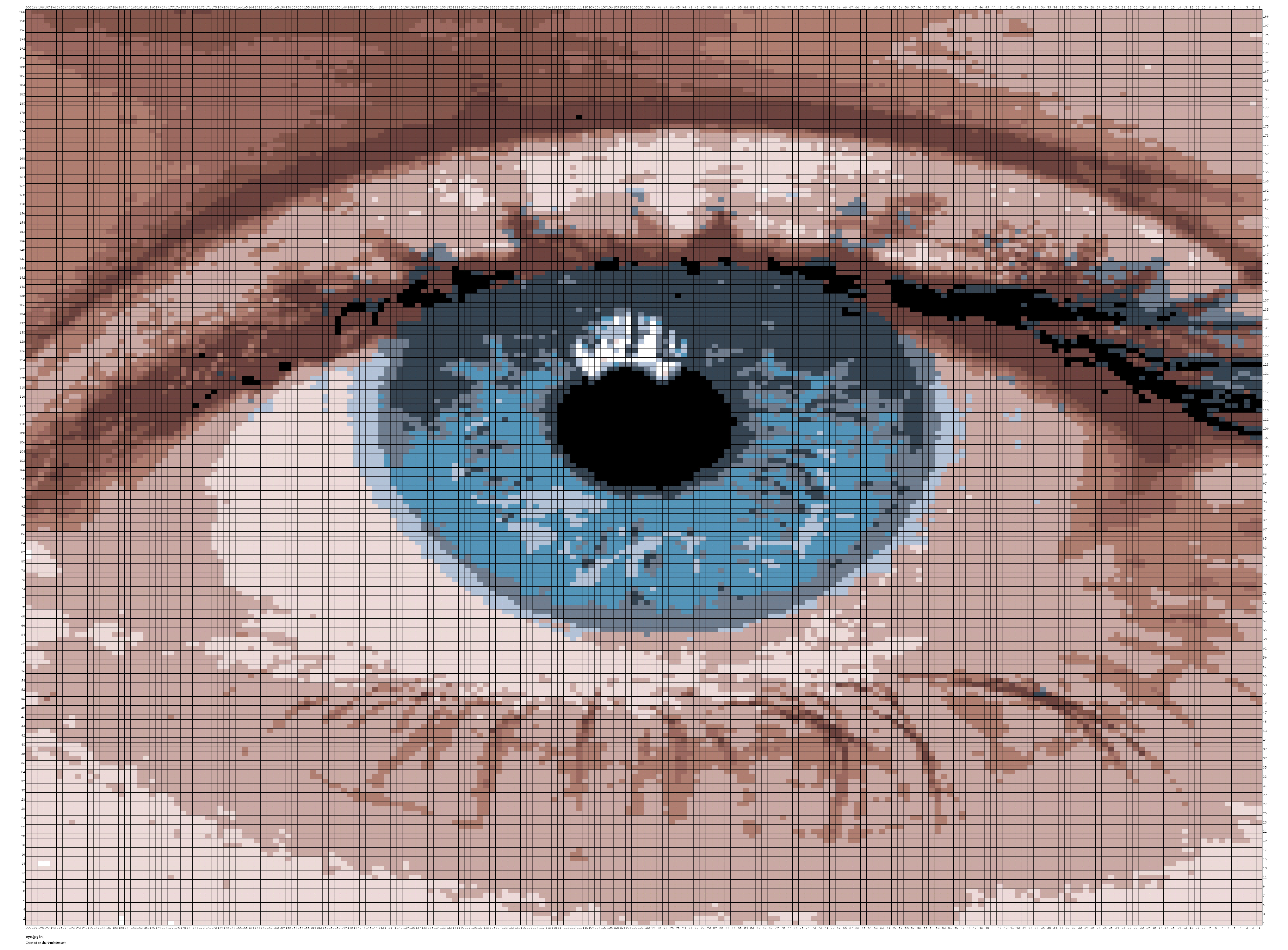 eye.jpg