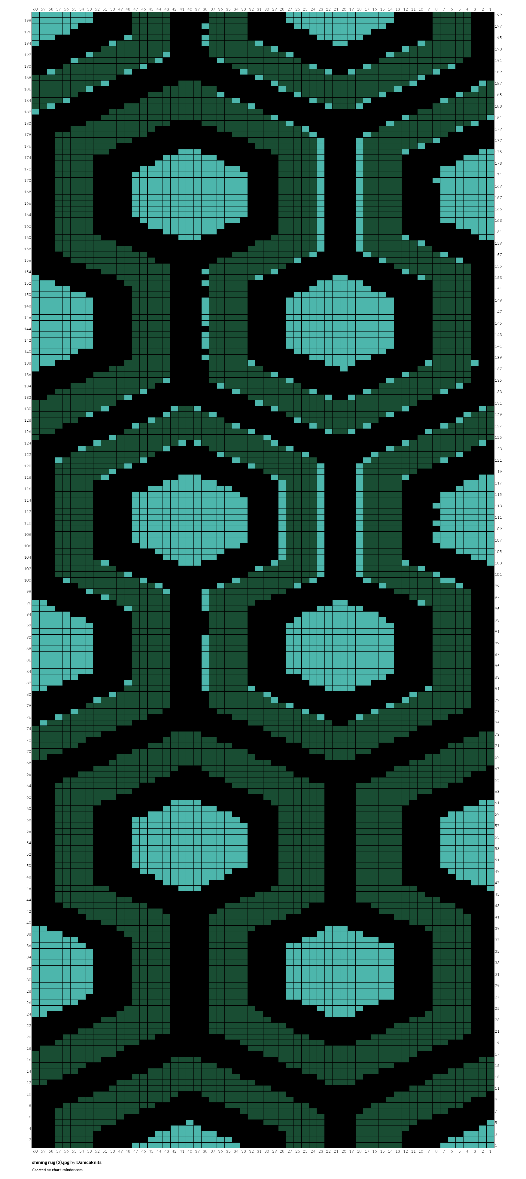 shining rug (2).jpg