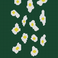 Copy of Egg Draft 1