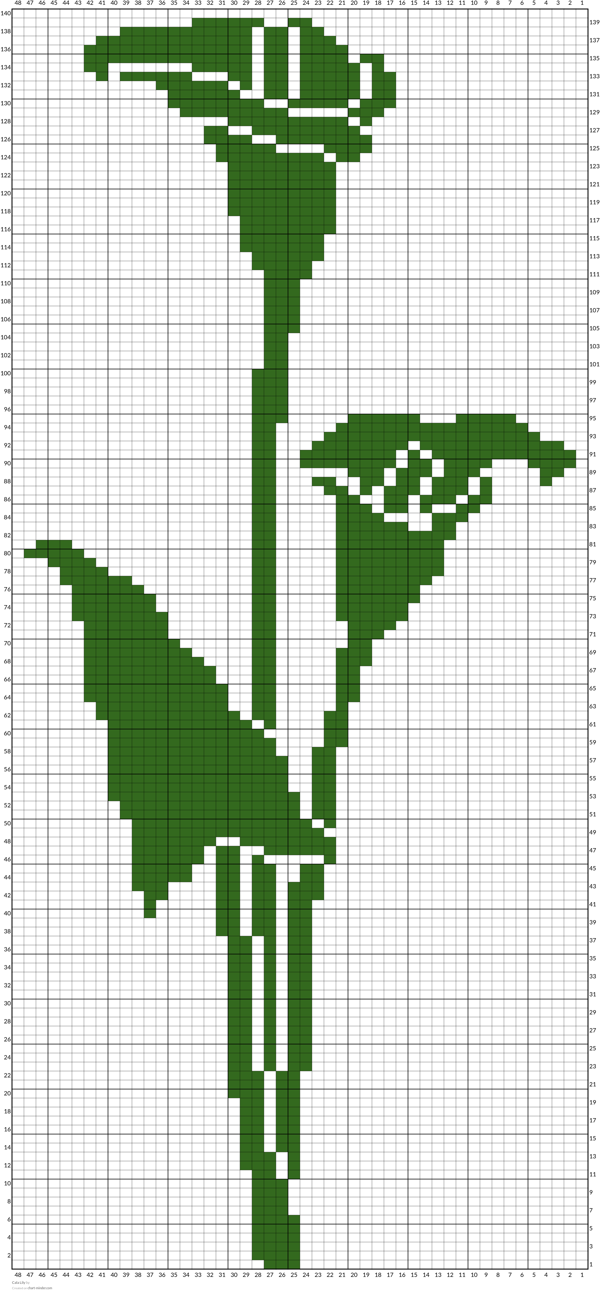 Cala Lily