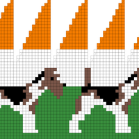 WIRE HAIRED TERRIER with ireland background