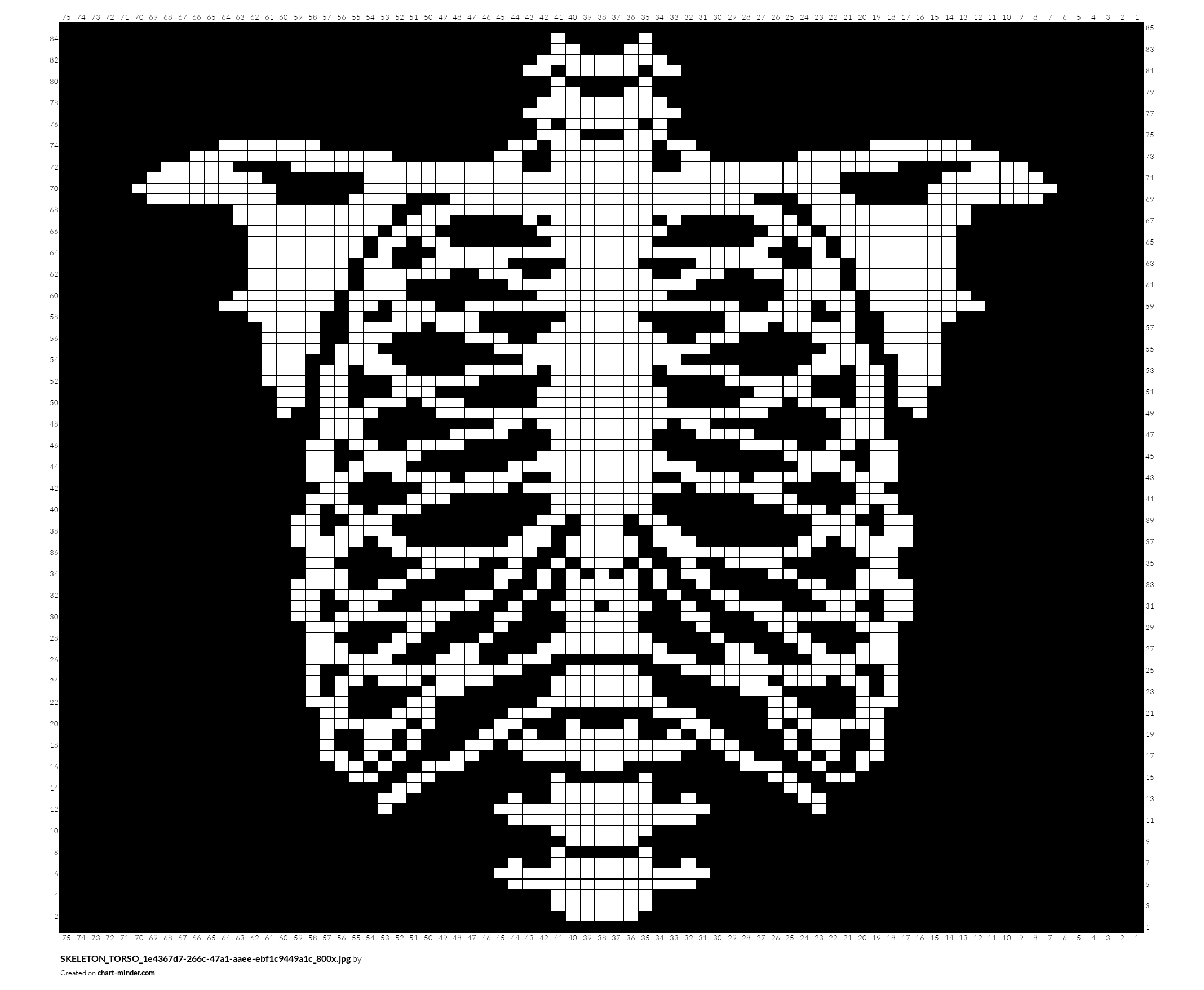 SKELETON_TORSO_1e4367d7-266c-47a1-aaee-ebf1c9449a1c_800x.jpg