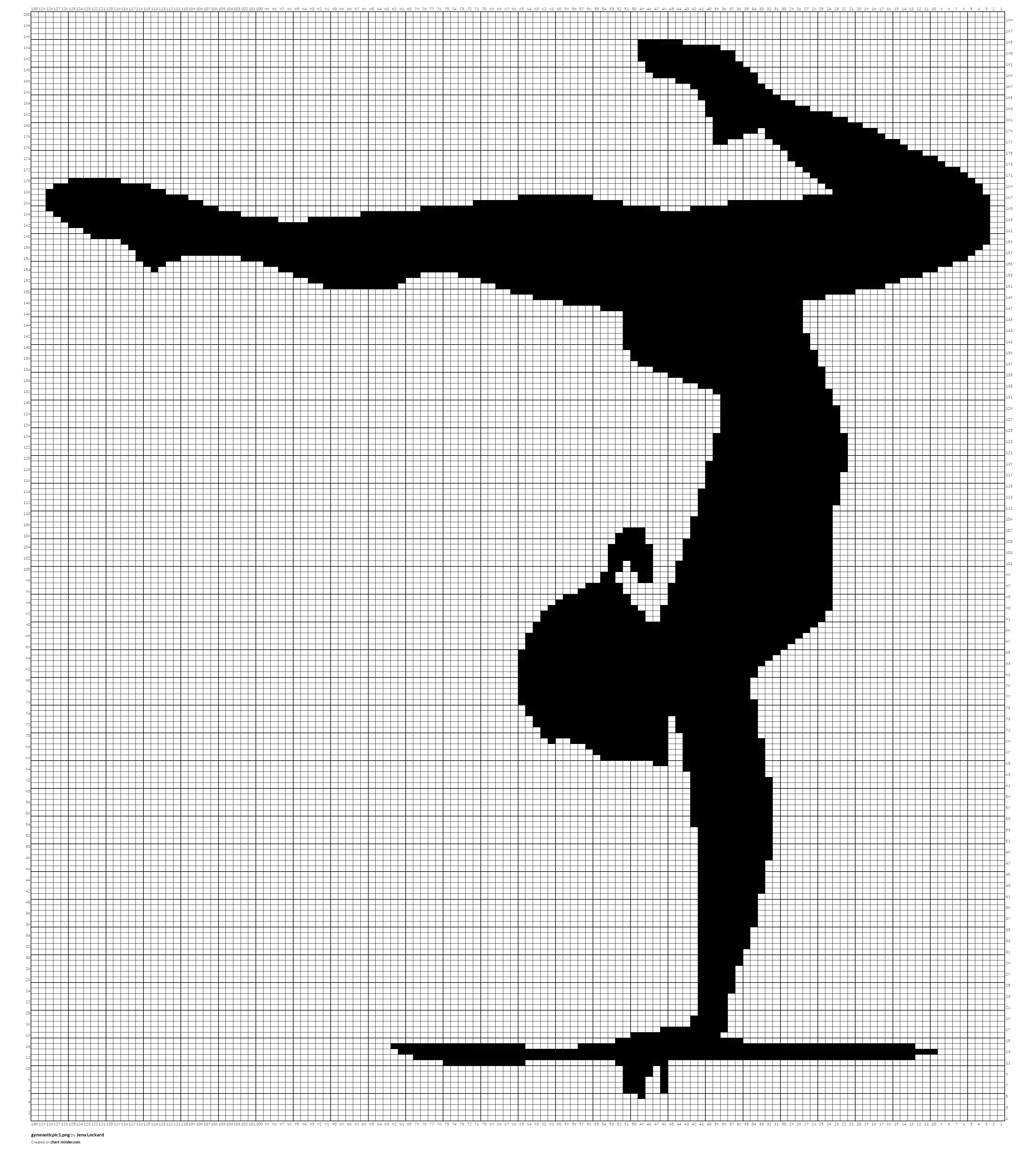 gymnasticpic1.png
