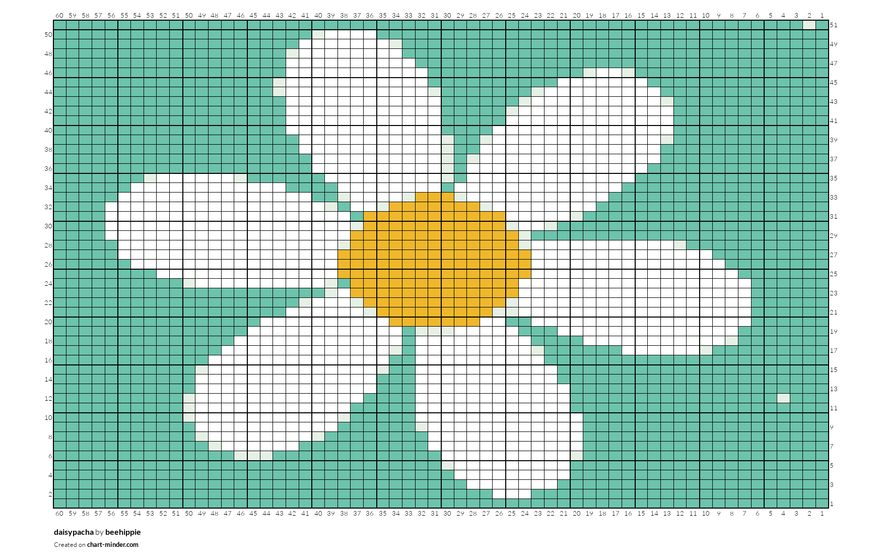 daisypacha