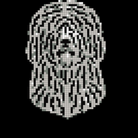 Copy of Screenshot_20211128-132906_Google.jpg