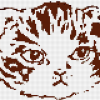 Copy of just the cat.png