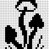 Copy of Mushroom