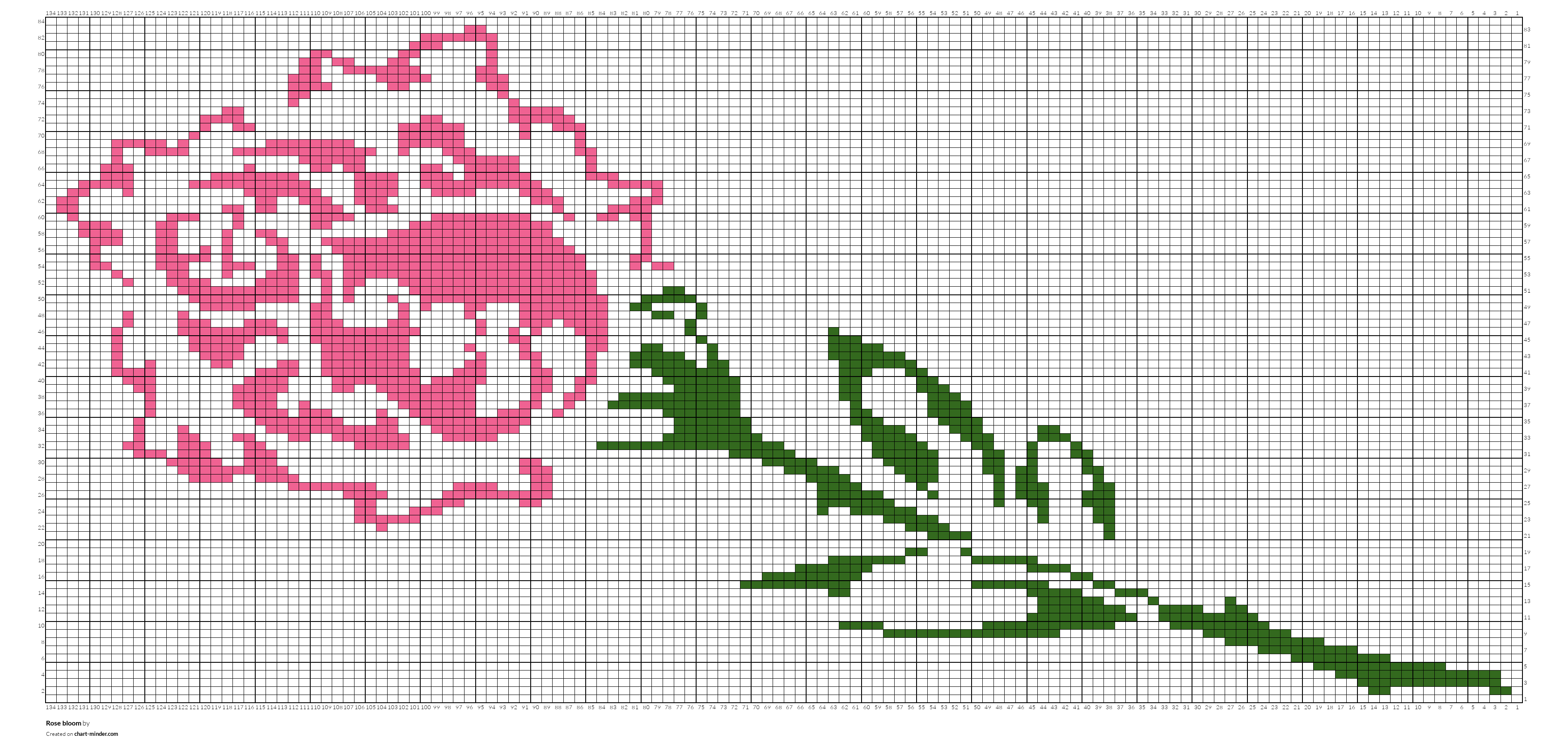 Rose bloom