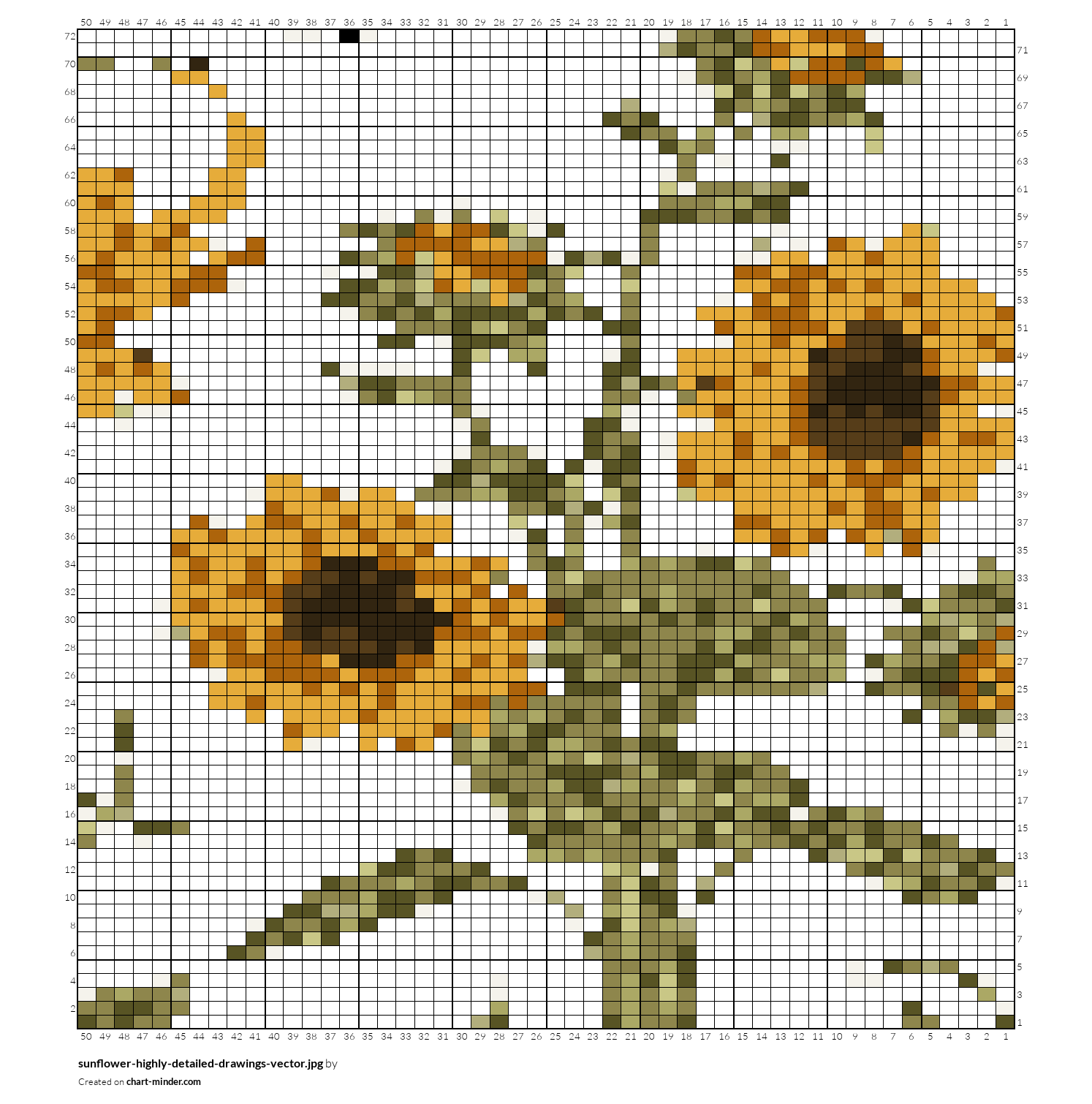 sunflower-highly-detailed-drawings-vector.jpg