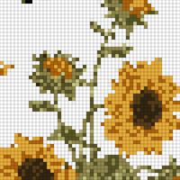 Copy of sunflower-highly-detailed-drawings-vector.jpg
