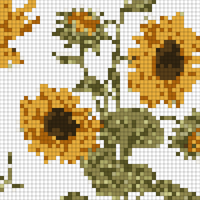 Copy of sunflower-highly-detailed-drawings-vector.jpg