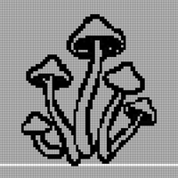 mushrooms.webp