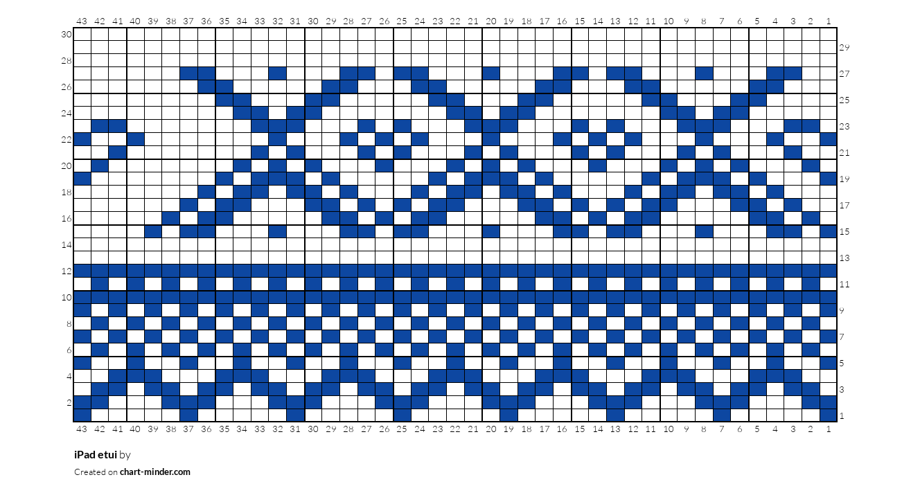 iPad etui