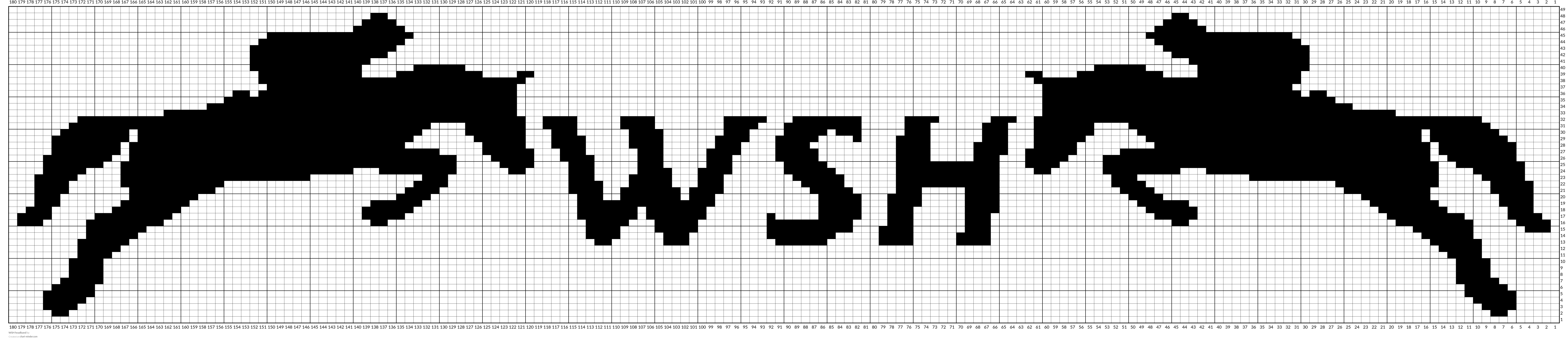 WSH headband