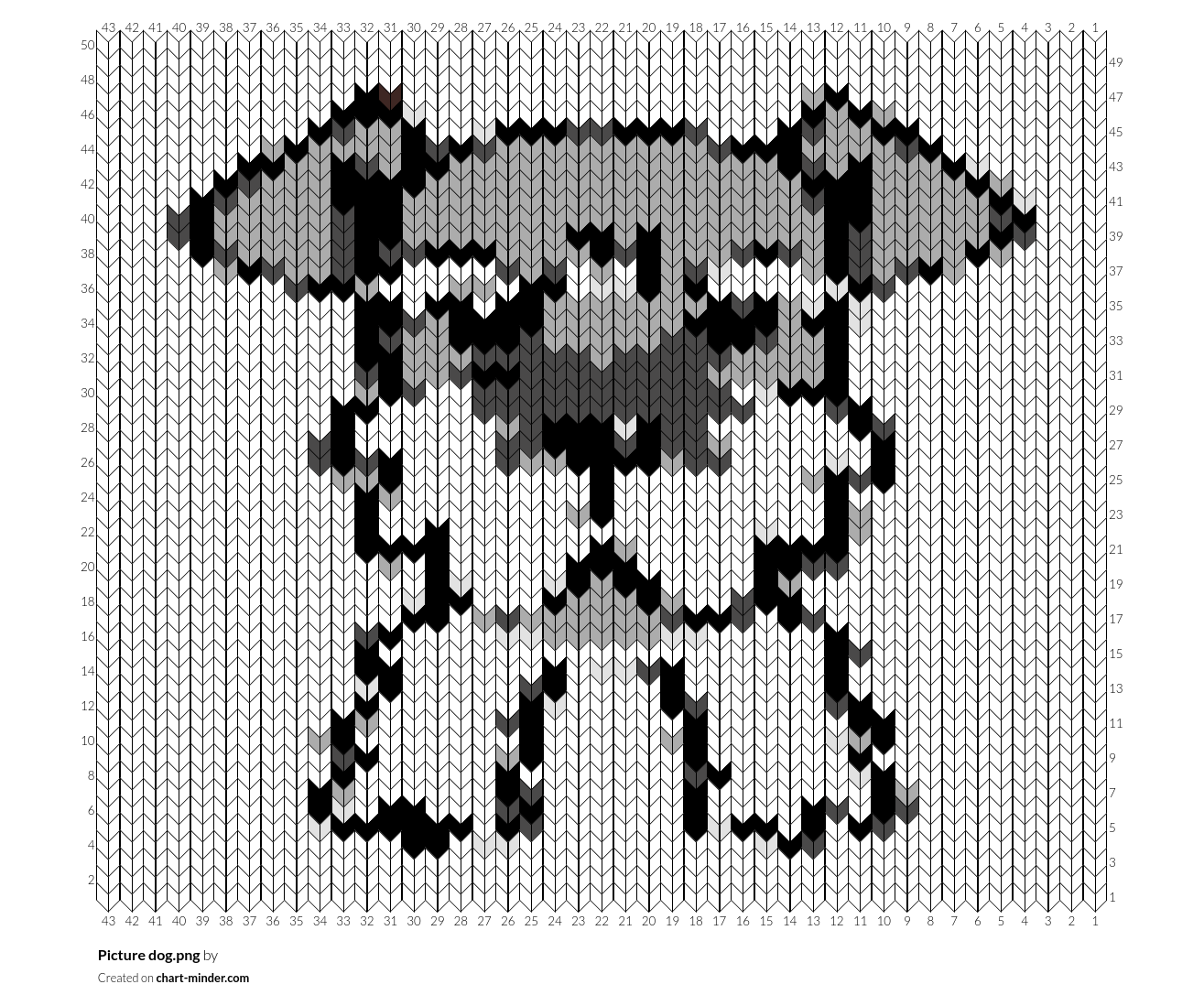 Picture dog.png