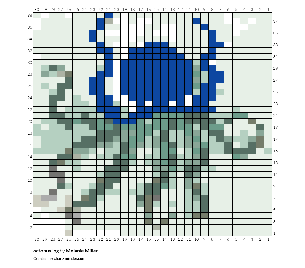 octopus.jpg