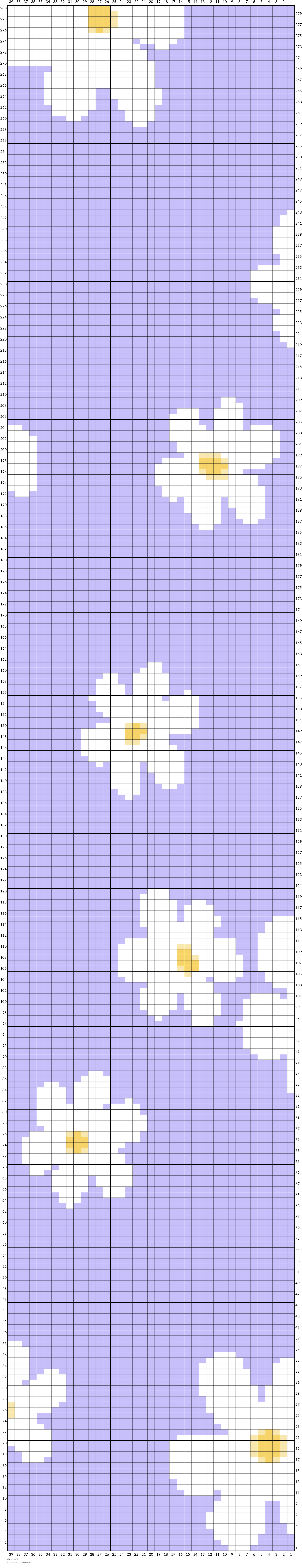 daisys.jpg