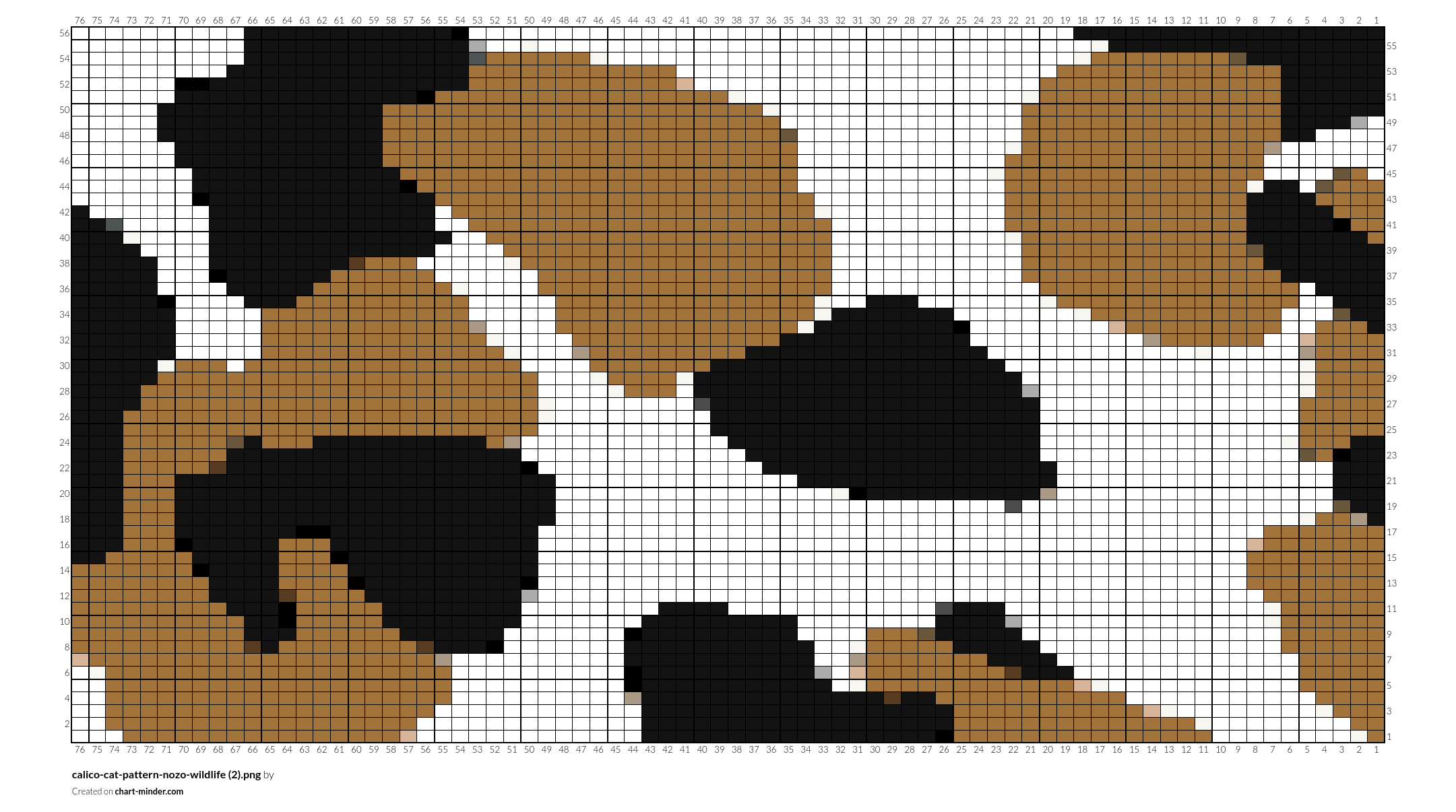 calico-cat-pattern-nozo-wildlife (2).png
