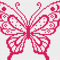 butterfly 2